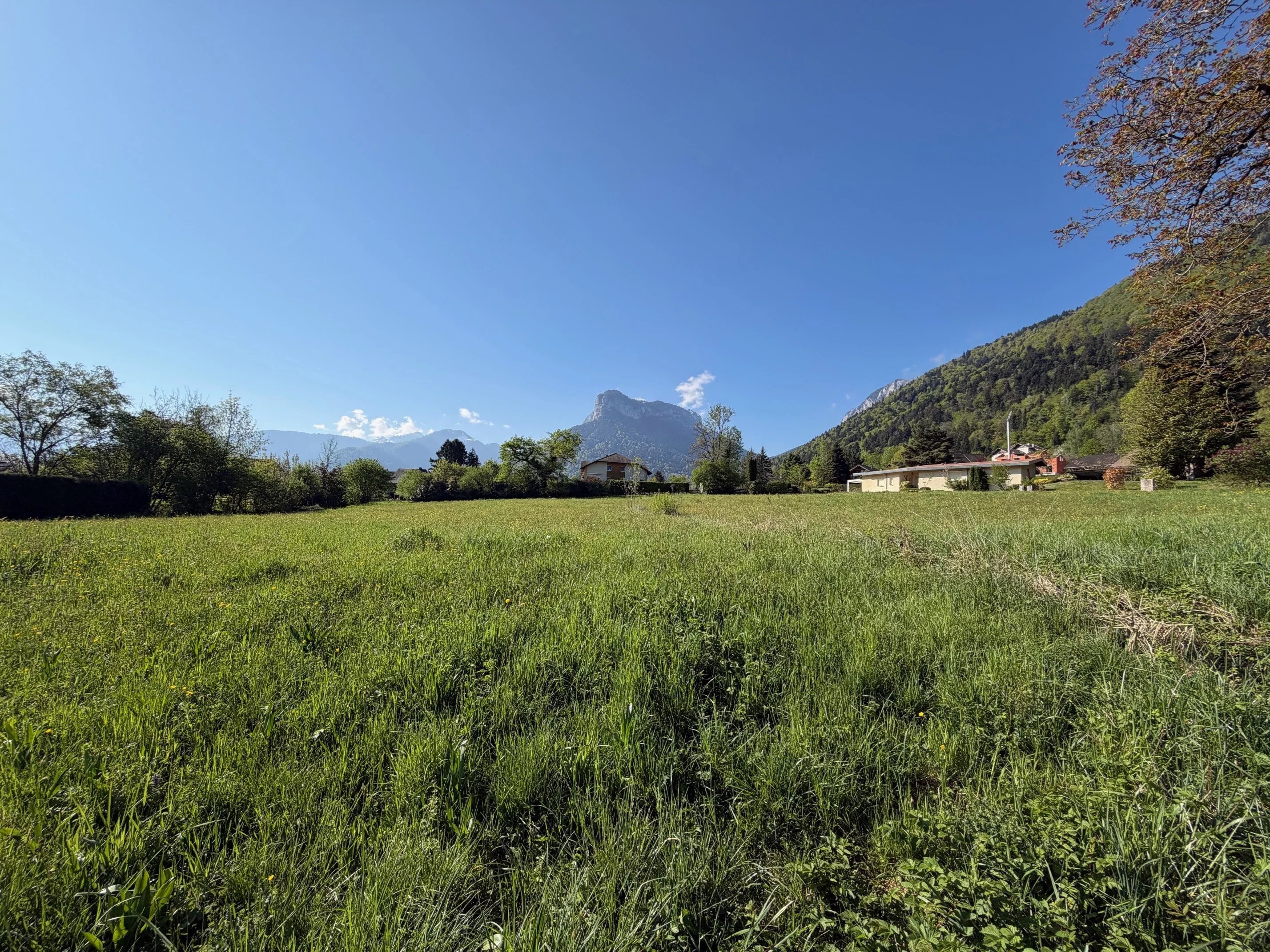 Lathuile